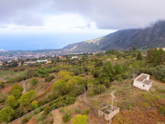 Terreno, La Orotava