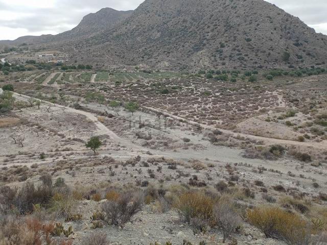 Terreno, La Alcoraya