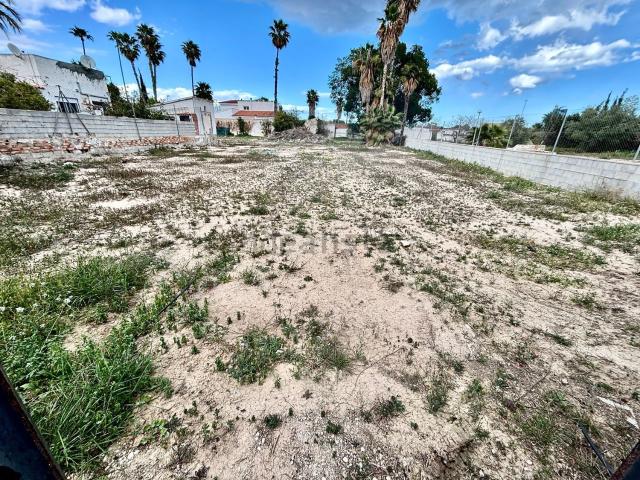 Terreno, La Albufereta, Alicante / Alacant