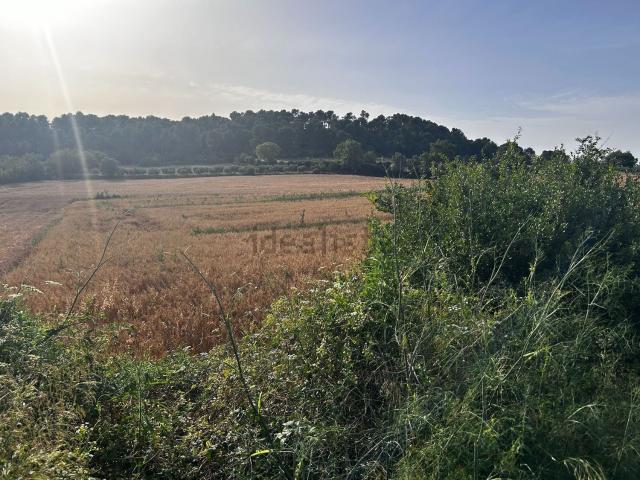 Terreno, La Bisbal d&apos Empordà