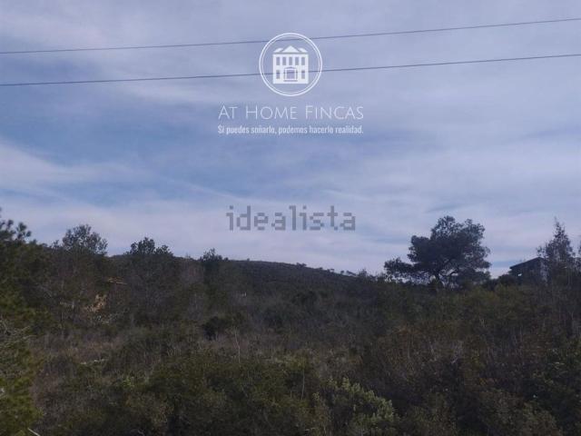 Terreno, La Bisbal del Penedès