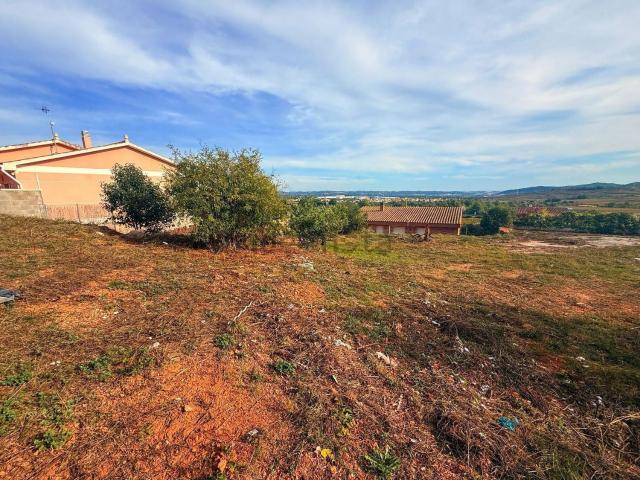 Terreno, La Bisbal del Penedès