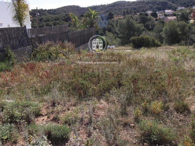 Terreno, La Bisbal del Penedès