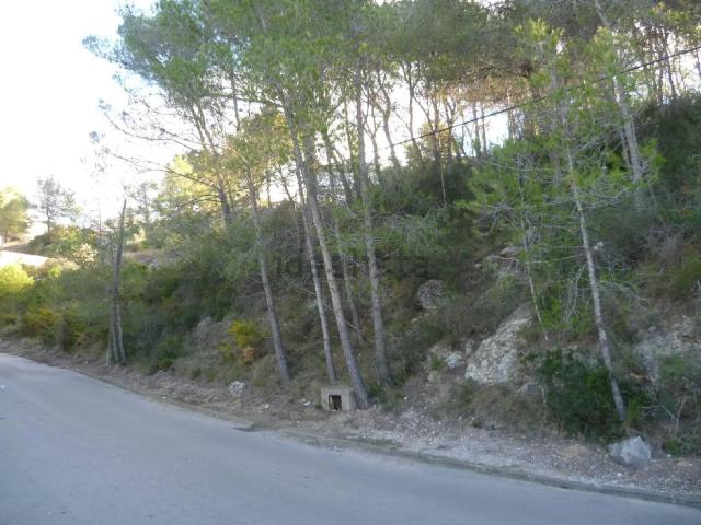 Terreno, La Bisbal del Penedès