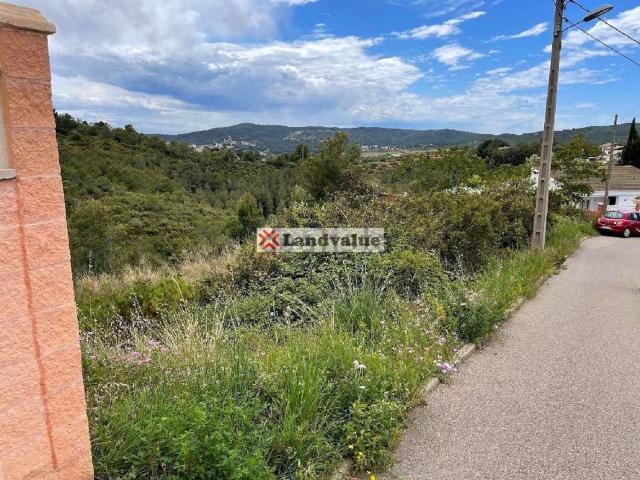 Terreno, La Bisbal del Penedès