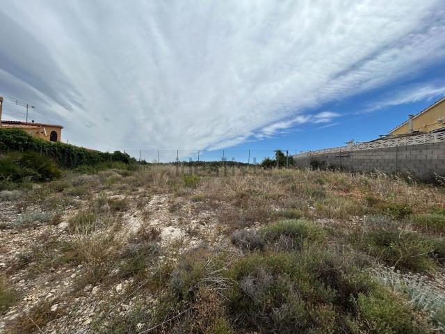 Terreno, La Bisbal del Penedès