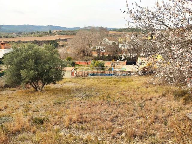Terreno, La Bisbal del Penedès