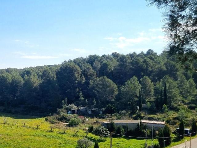 Terreno, La Bisbal del Penedès