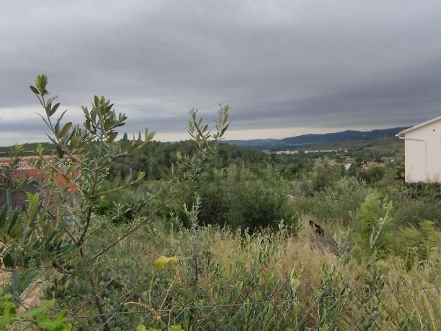 Terreno, La Bisbal del Penedès