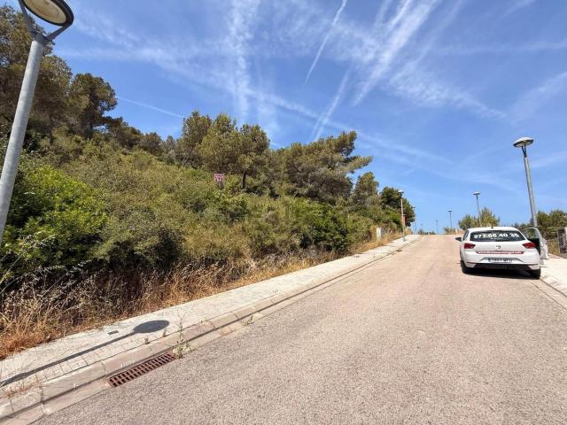 Terreno, La Bisbal del Penedès