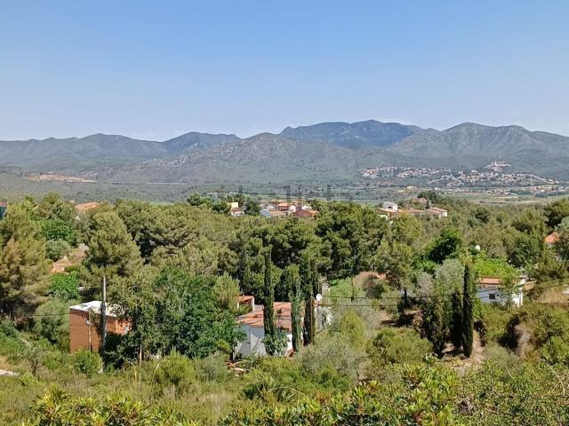Terreno, La Bisbal del Penedès