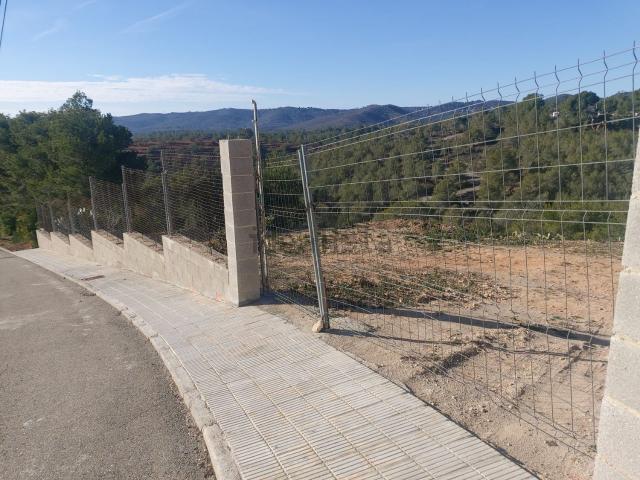 Terreno, La Bisbal del Penedès
