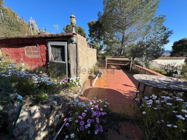 Terreno, La Bisbal del Penedès
