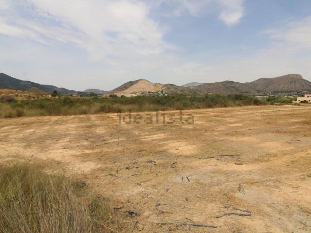 Terreno, Aspe