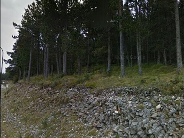 Terreno, La Coma i la Pedra