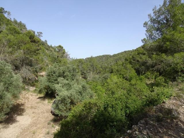 Terreno, La Fatarella