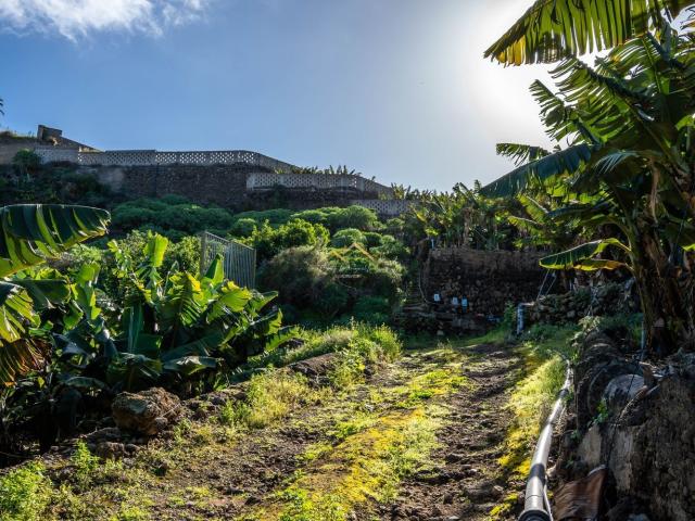 Terreno, La Guancha