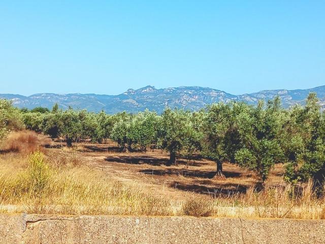 Terreno, La Galera