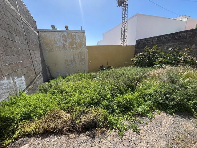 Terreno, La Gallega, Santa Cruz de Tenerife