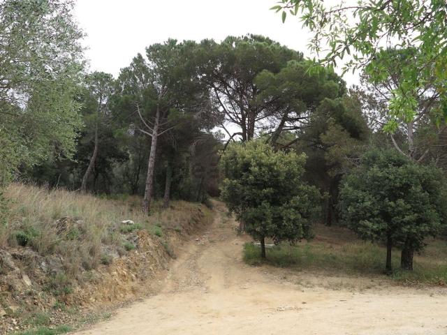 Terreno, La Garriga