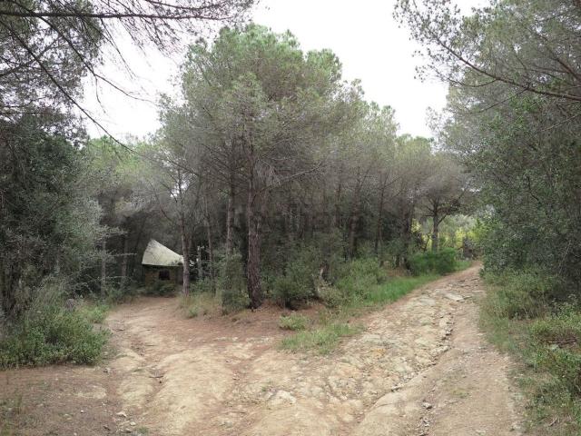 Terreno, La Garriga
