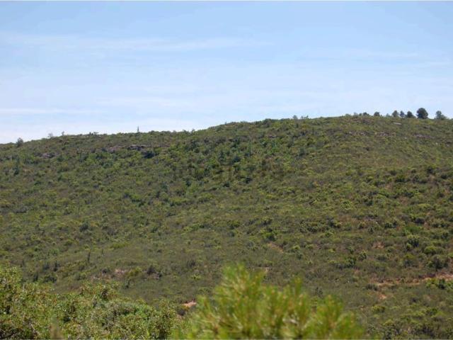 Terreno, La Granadella
