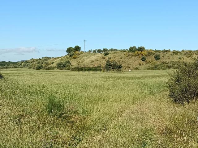 Terreno, La Granja