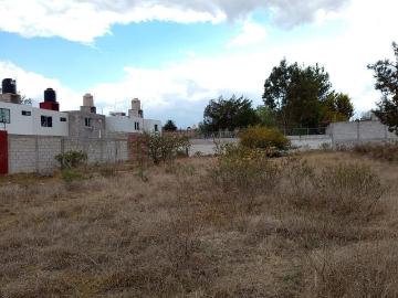 Terreno La Joya