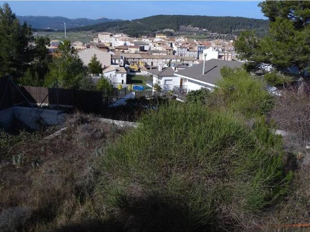 Terreno, La Llacuna