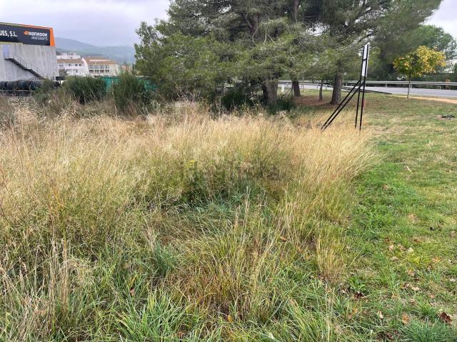 Terreno, La Punxa Bòbila Nova Mas Mascort, Palafrugell