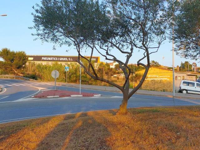 Terreno, La Punxa Bòbila Nova Mas Mascort, Palafrugell