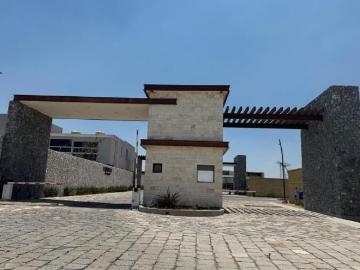 Terreno La Purísima