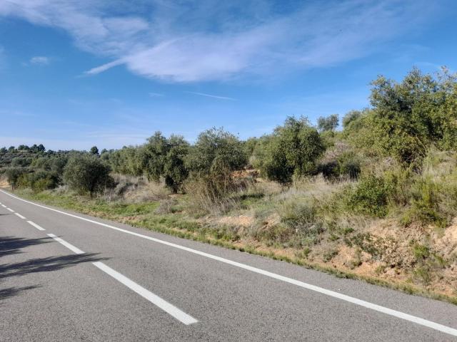Terreno, La Palma d&apos Ebre