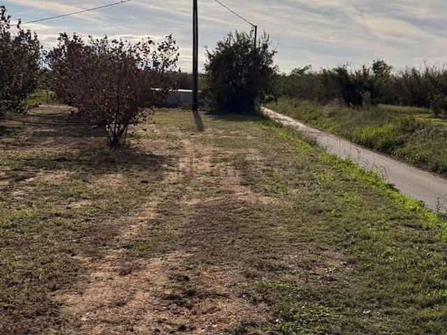 Terreno, La Pobla de Mafumet