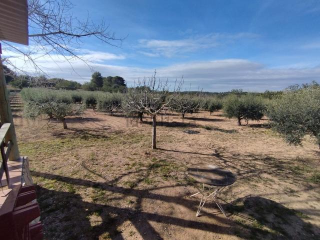 Terreno, La Pobla de Montornès