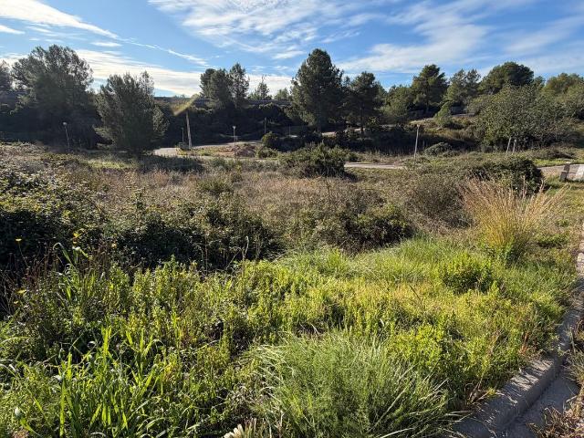 Terreno, La Pobla de Montornès