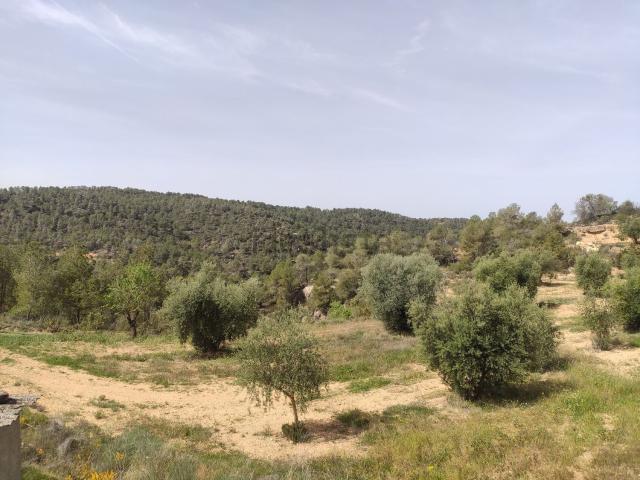 Terreno, La Pobla de Cérvoles