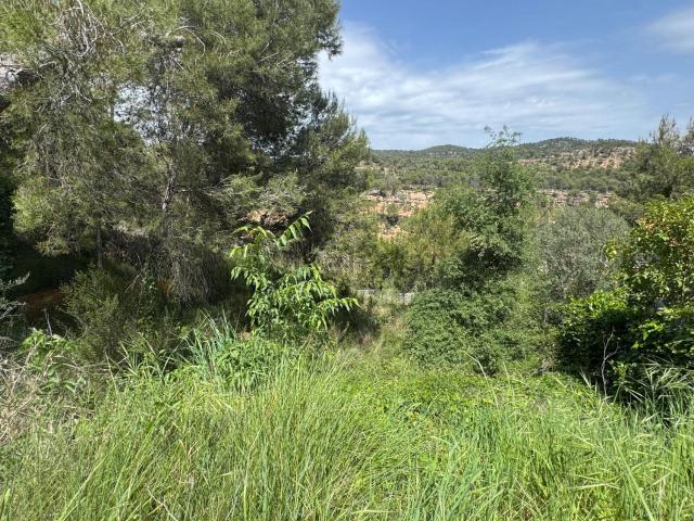 Terreno, La Pobla de Claramunt
