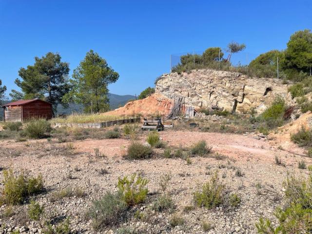 Terreno, La Pobla de Claramunt