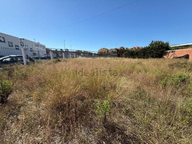 Terreno, La Regia, Orihuela