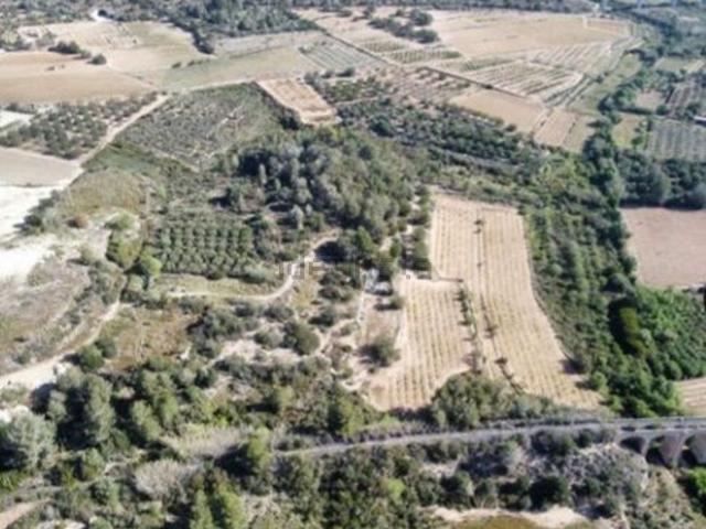 Terreno, La Riera de Gaiá