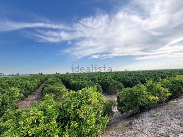 Terreno, La Rinconada