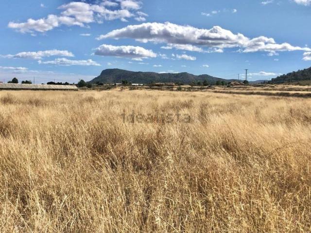 Terreno, La Romana