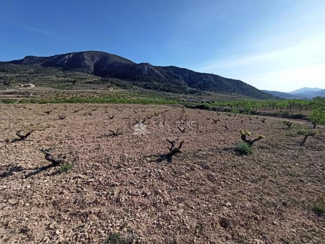 Terreno, La Romana