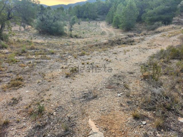 Terreno, La Romana