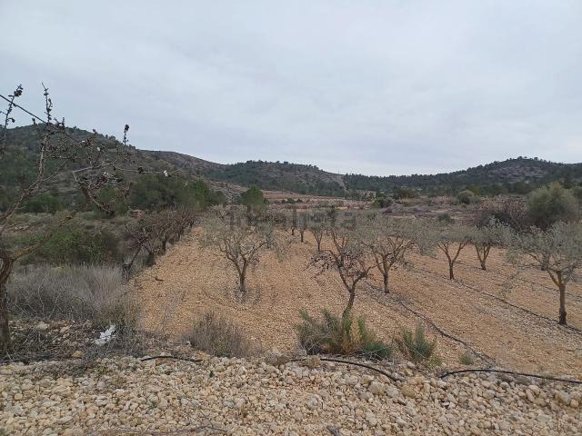 Terreno, La Romana
