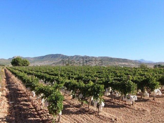 Terreno, La Romana