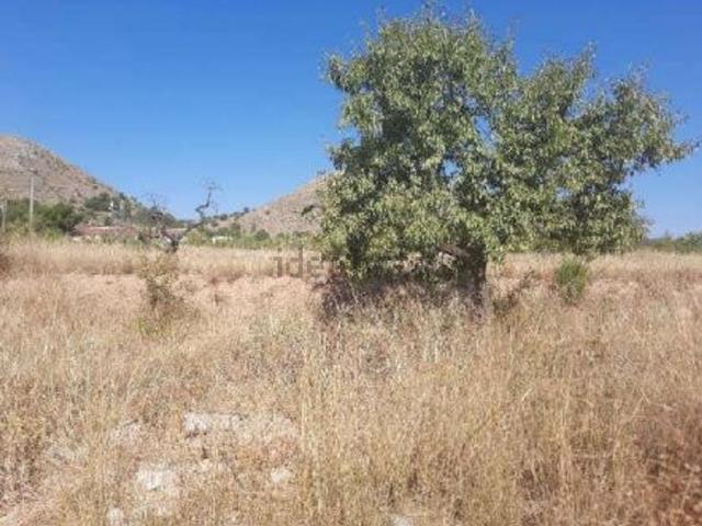 Terreno, La Romana