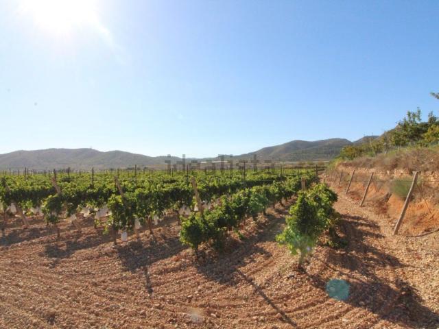 Terreno, La Romana