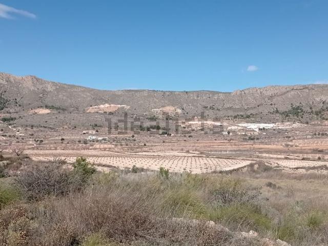 Terreno, La Romana